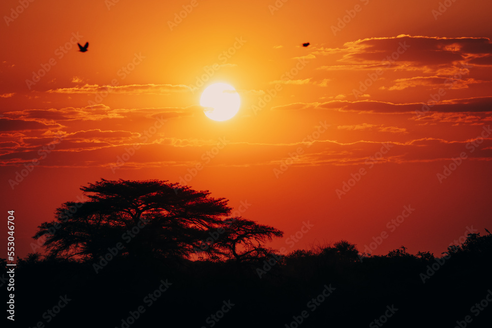 Wunderschöner romantischer Sonnenuntergang am Okavango River in Namibia, Afrika
