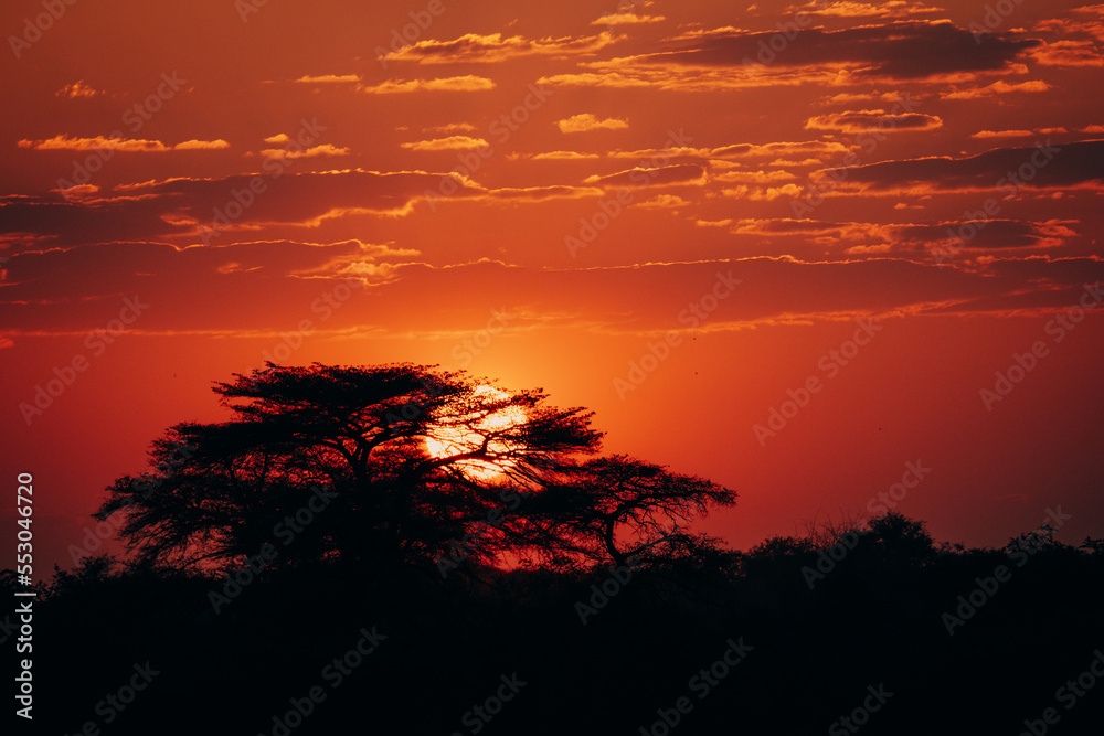 Wunderschöner romantischer Sonnenuntergang am Okavango River in Namibia, Afrika