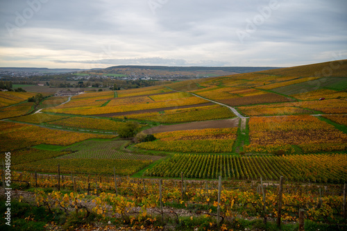 Panoramic autuimn view on champagne vineyards in village Hautvillers near Epernay, Champange, France photo