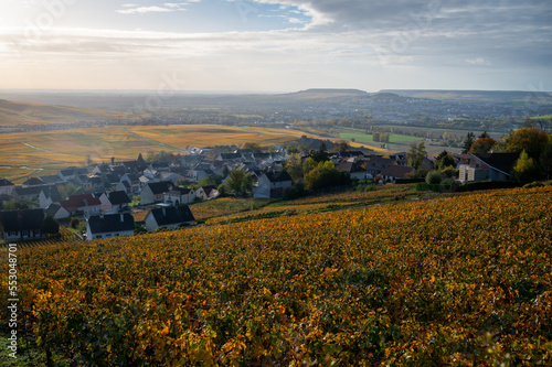 Panoramic autuimn view on champagne vineyards and village Hautvillers near Epernay  Champange  France