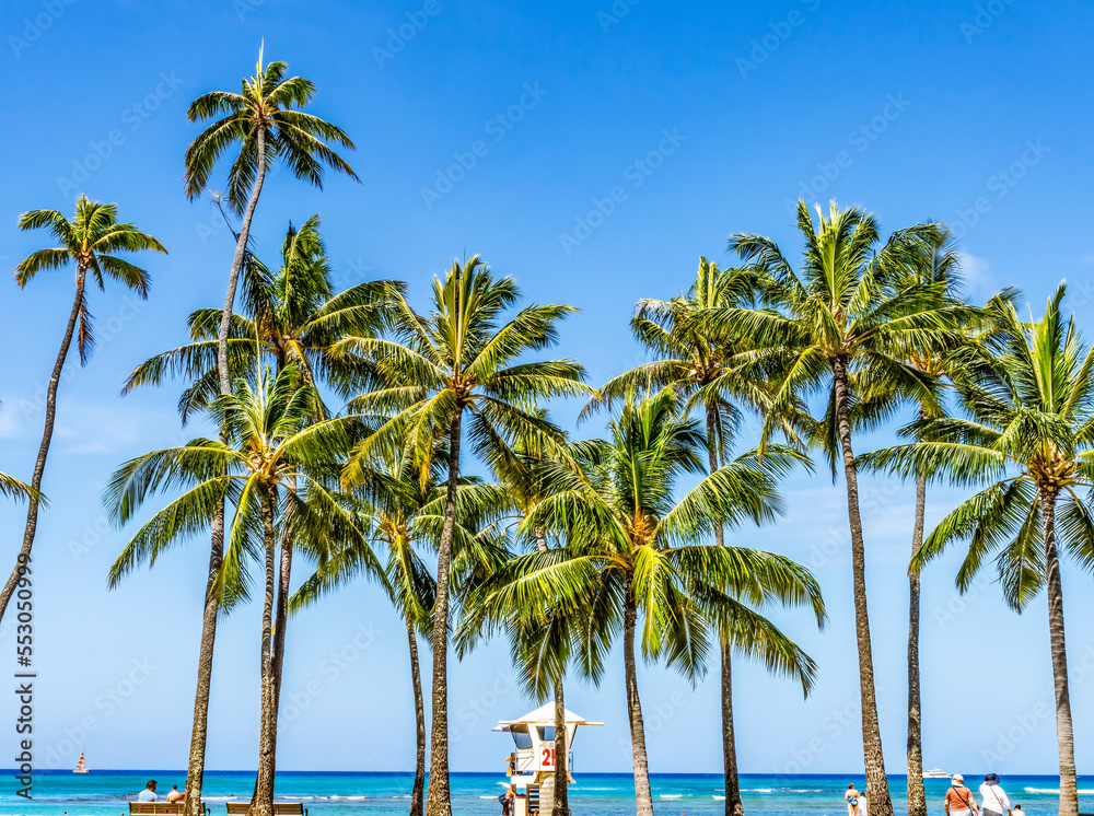Colorful Lifeguard Station Palm Trees Waikiki Beach Honolulu Hawaii