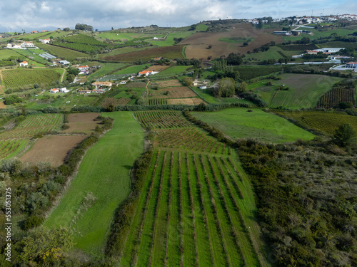 Aerial view on hills with agricultural fields and vineyards in Portugal in Lisbon area