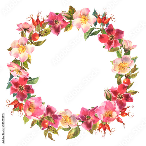 Watercolor rose hip wreath. Flowers, leaves and fruits of wild roses. Watercolor illustration isolated on white background. © Brelena