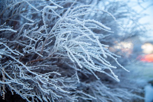 Winter in Limerick, Ireland
