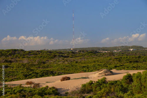 Vega Baja del Segura - Guardamar - Las dunas y pinada de Guardamar, un paisaje de desierto junto al mar Mediterráneo. photo