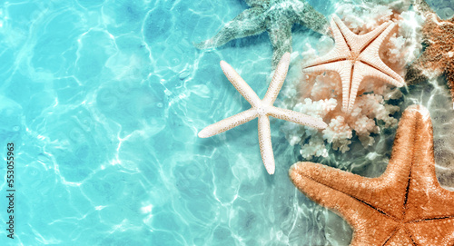 Fototapeta Naklejka Na Ścianę i Meble -  Starfish and coral on the summer beach in sea water. Summer background.