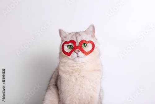 Portrait of a cute white cat in a red mask in the form of hearts