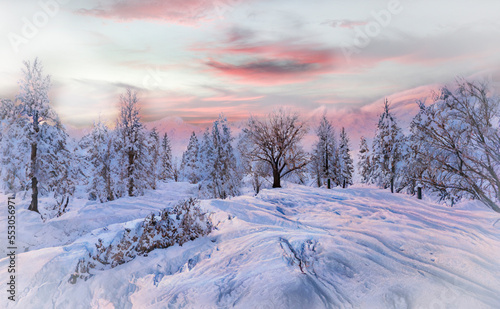 Winter landcape in the dusk ( Canada / Quebec ) © photorebelle