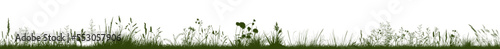 Black grass silhouette. Vector illustration