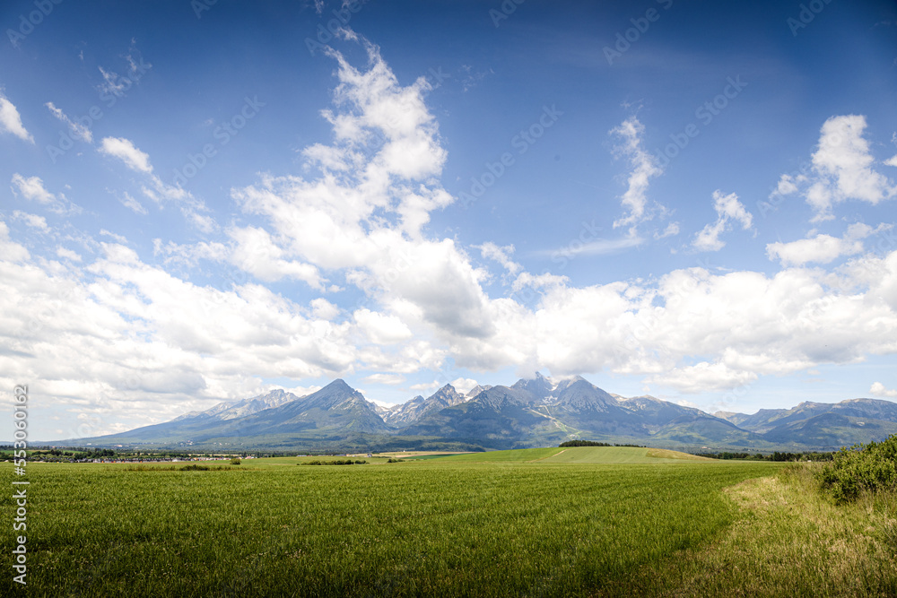 Fototapeta premium grass and sky