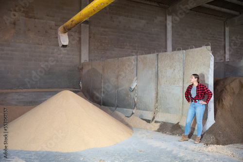 Female farmer looks Supply pipe pouring crushed maize germ meal onto pile in warehouse of livestock farm. Process preparing and storage of forage