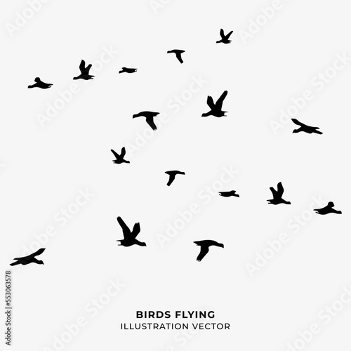 birds flying silhouette vector illustration © andredesignstudio