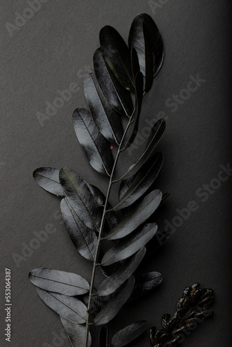 Texture pattern of black painted leaves on a black background. Monochrome dark background.