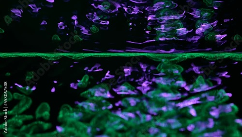 Awesome bg with magic particles float in liquid, light rays like laser show, light effects and bokeh, DOF. Glowing multi-colored particles circle underwater forming cloud. Luma matte as alpha channel.