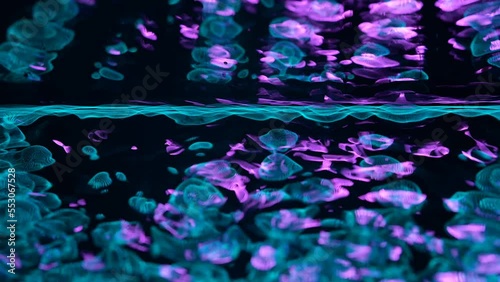 Awesome bg with magic particles float in liquid, light rays like laser show, light effects and bokeh, DOF. Glowing multi-colored particles circle underwater forming cloud. Luma matte as alpha channel.