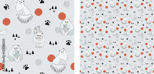 Seamless cute Persian cat pattern. Square format texture, t-shirt, poster, packaging, textile, socks, textile, fabric, decoration, wrapping paper. Trendy hand-drawn white cats. Gift box pattern.