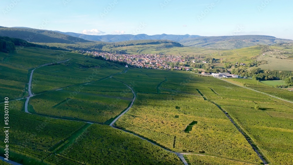 Panoramic aerial drone top view of the rural village of Orschwihr (Upper-Rhine, Alsace, France) in summer day, between vineyards and Vosges mountains, with houses