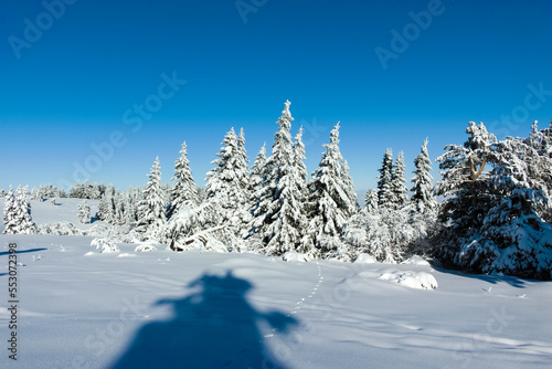 Winter landscape of Vitosha Mountain  Bulgaria