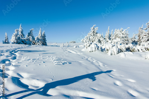 Winter landscape of Vitosha Mountain, Bulgaria