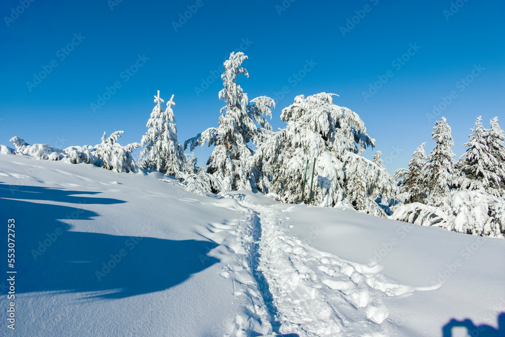 Winter landscape of Vitosha Mountain, Bulgaria Winter landscape of Vitosha Mountain, Bulgaria