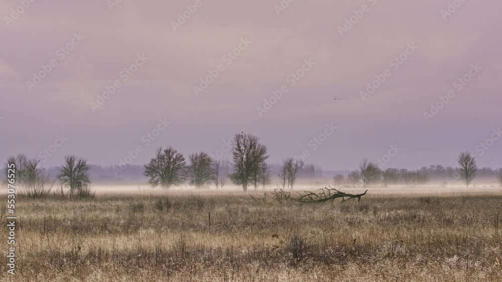 Sunrise / Sunset over a forest landscape Sunrise / Sunset over a forest landscape