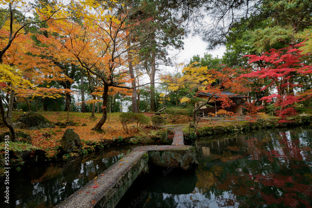 回遊式日本庭園と紅葉の美