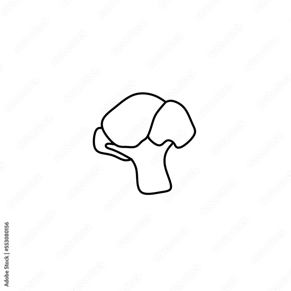 illustration vector graphic of brocoli line art perfect for logos, icons, designs, posters, flyers, advertisements, and drawing books illustration vector graphic of brocoli line art perfect for logos, icons, designs, posters, flyers, advertisements, and drawing books