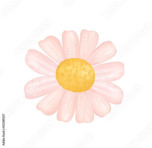 Fototapeta Naklejka Na Ścianę i Meble -  cute single daisy flower watercolour cartoon 