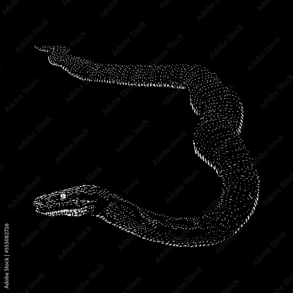 Savu Python hand drawing vector isolated on black background. Savu Python hand drawing vector isolated on black background.