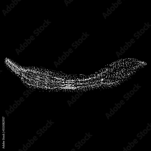 Urechis unicinctus (Penis Fish) hand drawing vector isolated on black background. photo