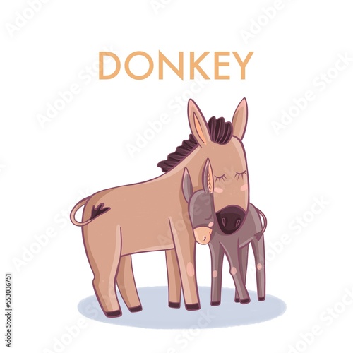 Donkey and donkey. Mom and baby.