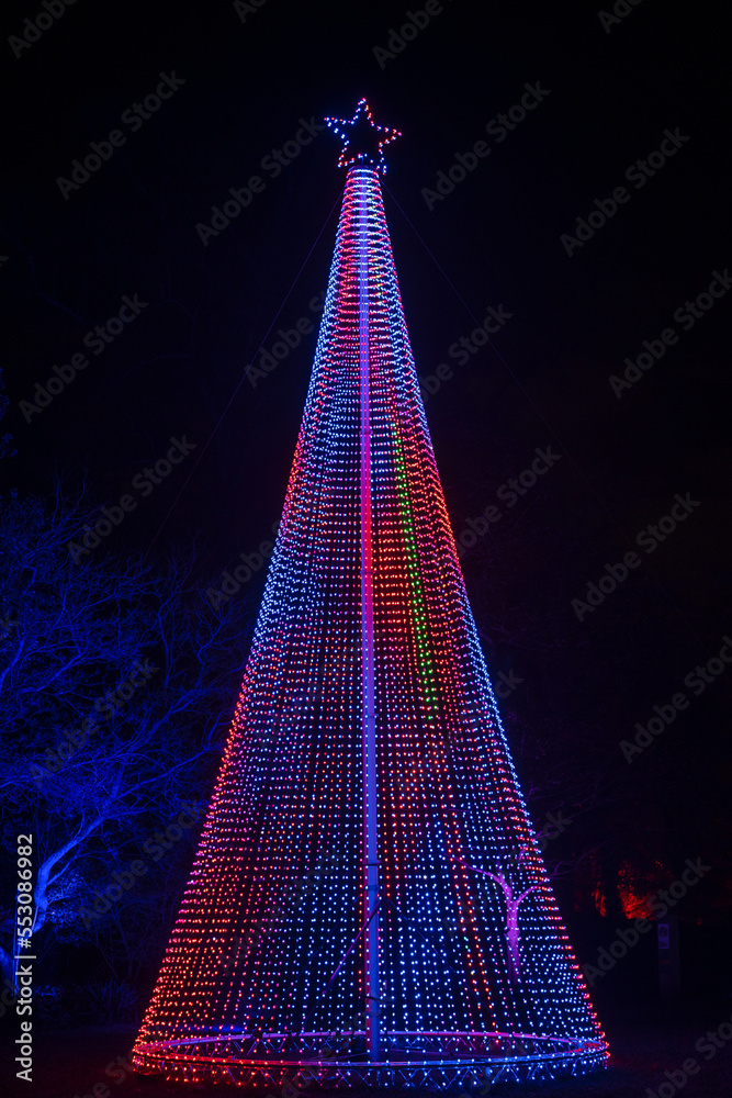 Red, White and Blue Christmas Tree Lights. Outdoor Christmas Digital