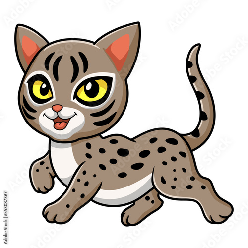 Cute ocicat cat cartoon walking