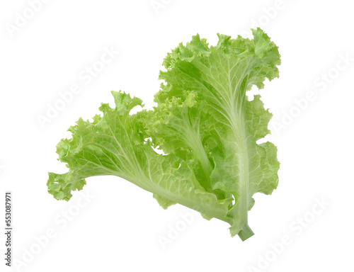 Salad leaf. Lettuce isolated on white background