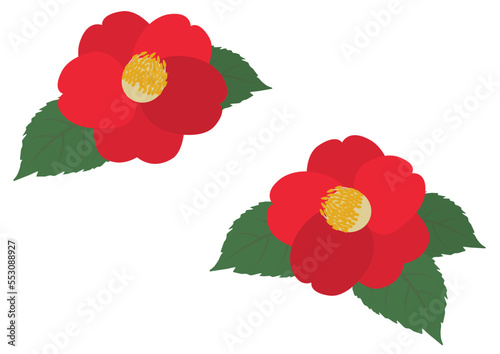 椿のイラストのセット_1
