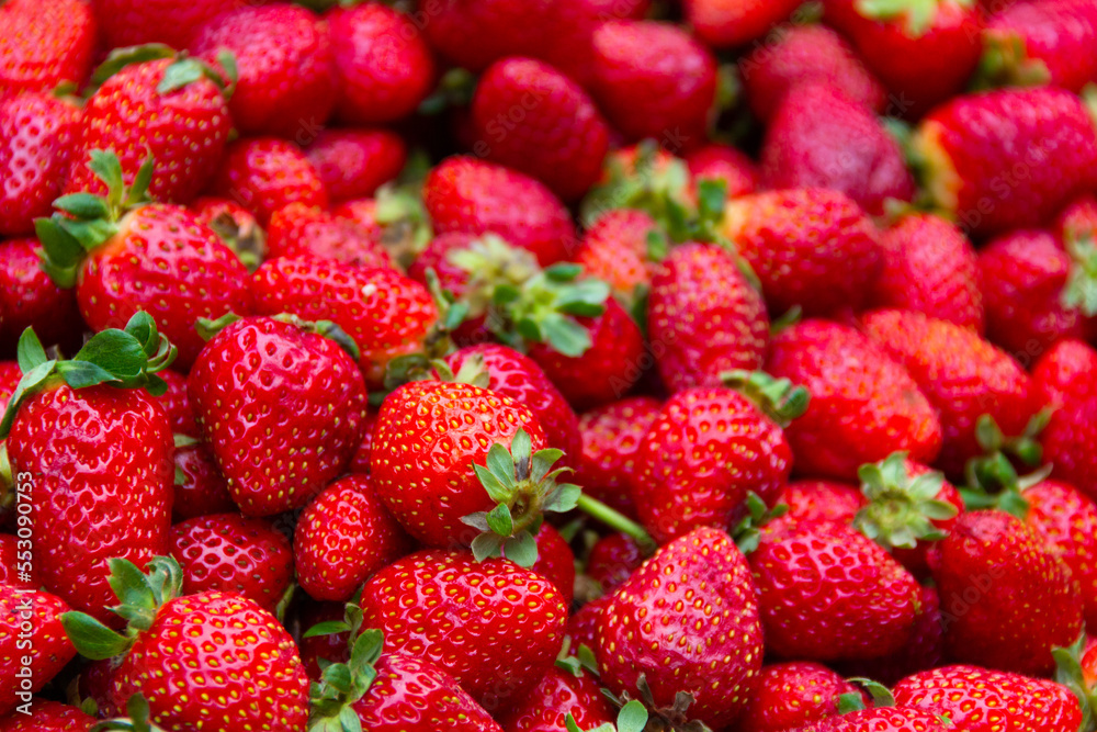 Red strawberries in market. Fresh fruit on stall. Harvest, food background concepts