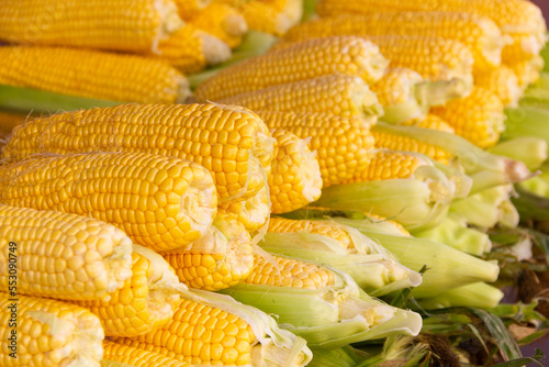 Photography Fresh corn on the cob pile on street market stall in Istanbul city