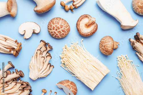 Flat lay of edible mushrooms on blue background close-up.