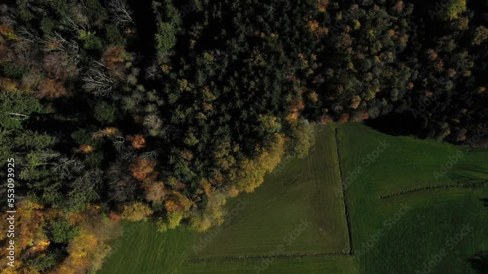 Overhead View Of Green Meadows And Autumnal Forest Trees In Chiemsee, Bavaria, Germany. Aerial Shot Overhead View Of Green Meadows And Autumnal Forest Trees In Chiemsee, Bavaria, Germany. Aerial Shot