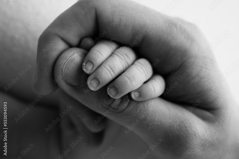 A newborn holds on to mom's, dad's finger. Hands of parents and baby close up. A child trusts and holds her tight. Tiny fingers of a newborn. Black and white macrophoto. Concepts of family and love.