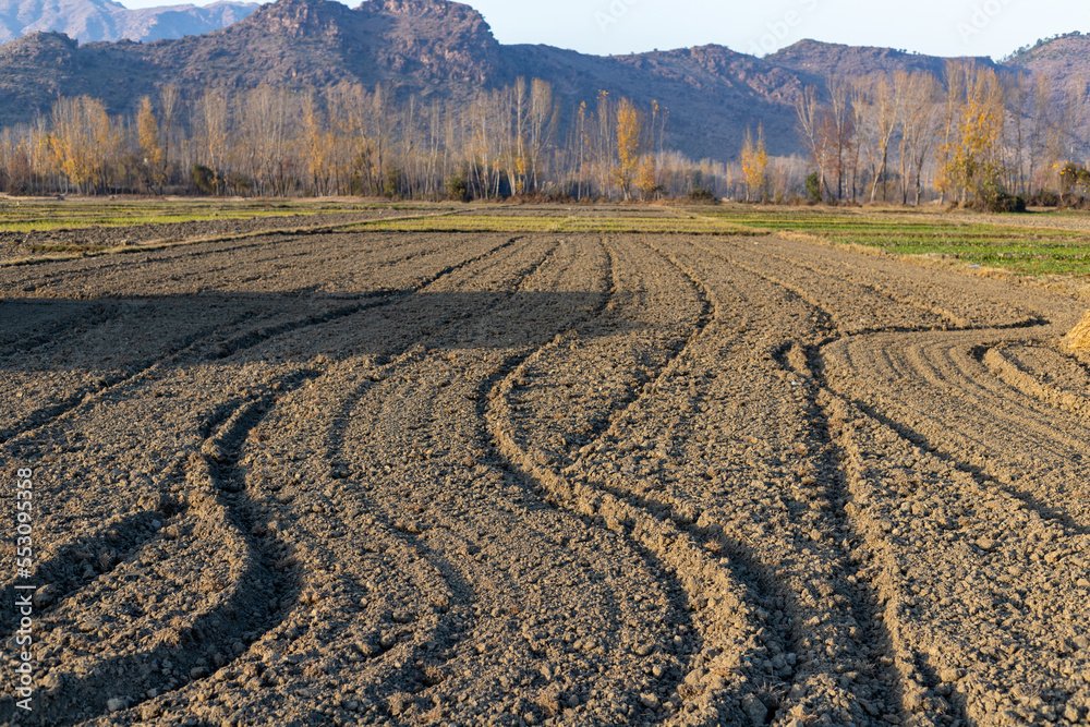 Empty fields plowed with a tractor after harvested the crops