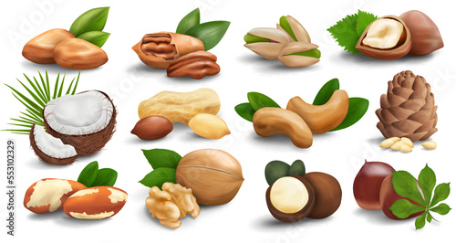 Collection of nuts isolated on a white background. Realistic vector 3d icons of nuts