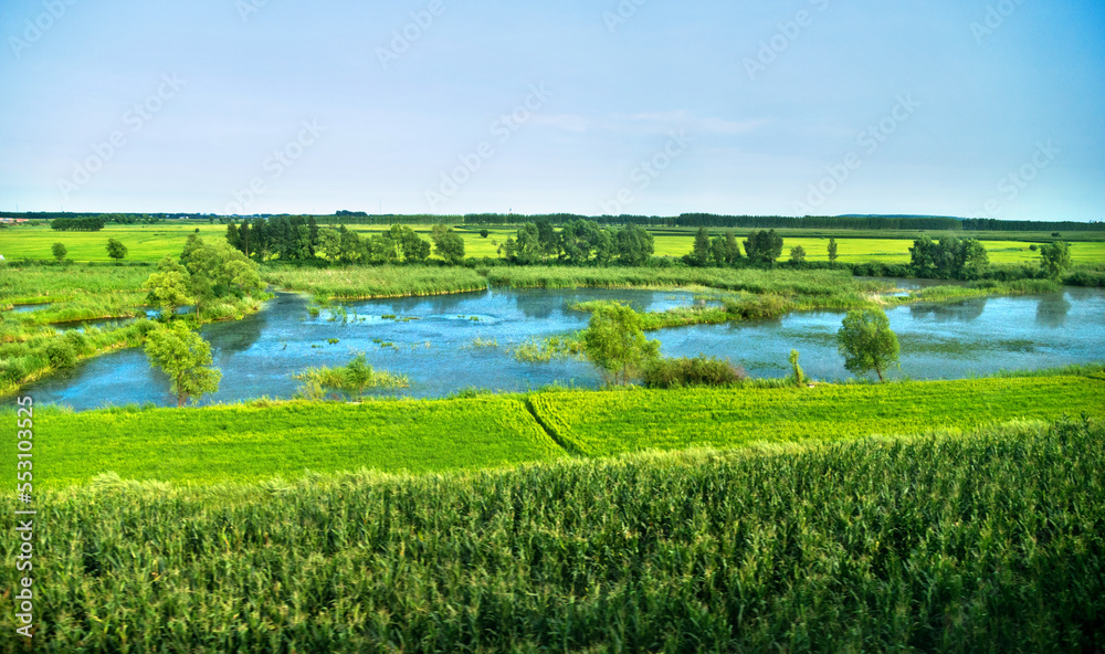 Obraz premium Landscape with farm and pond