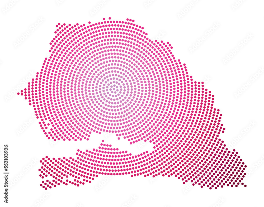 Senegal Dotted Map Digital Style Shape Of Senegal Tech Icon Of The