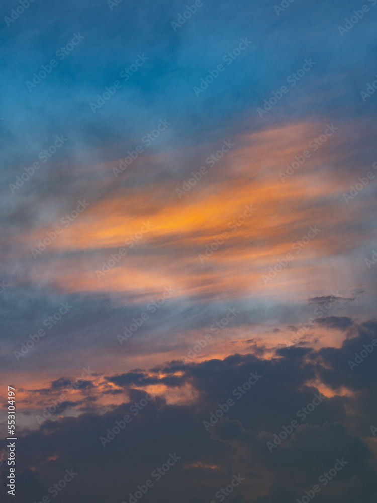 Naklejka premium OLYMPUS DIGITAL CAMERA