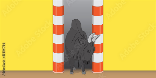 jallikattu bull come out from vaadivaasal. closeup view. traditional bull taming sport in tamilnadu.