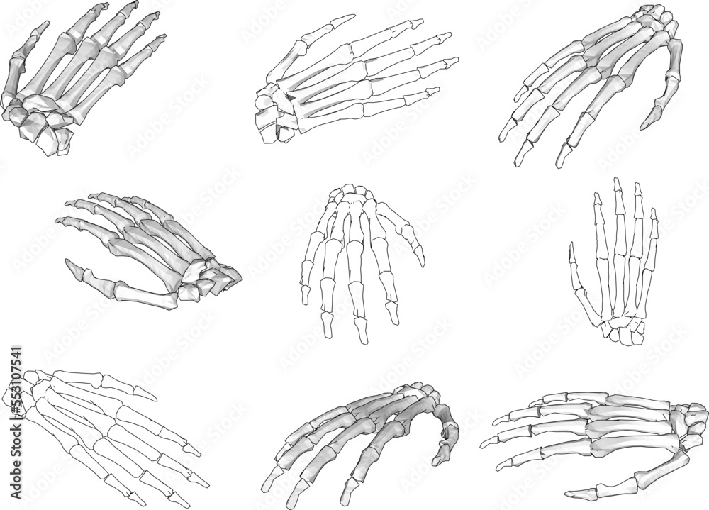 wrist bone vector design