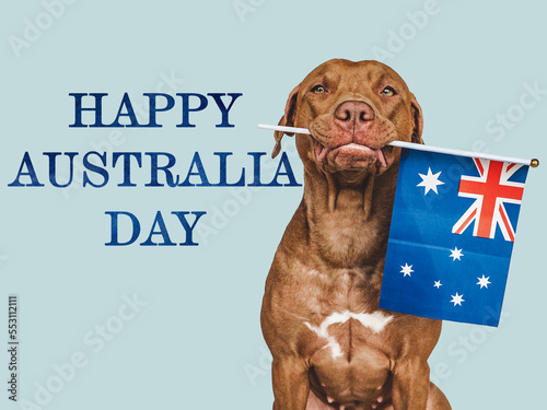 Lovable, charming puppy and Australian Flag. Happy Australia Day. Close-up, indoors. Photo collage. Congratulations for family, loved ones, relatives, friends and colleagues. Pet care concept