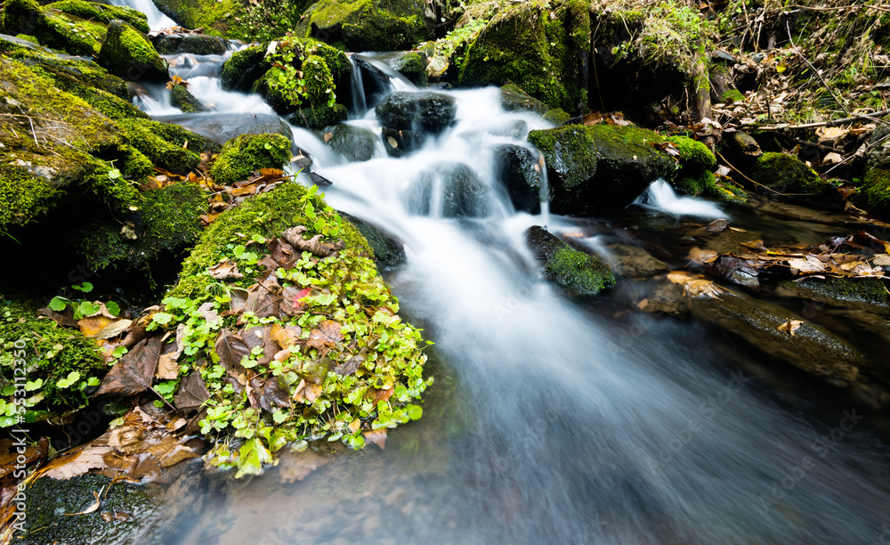 Mossy rocks in stream with smooth flowing water Mossy rocks in stream with smooth flowing water