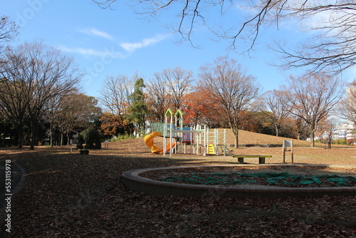 Autumn scenery of a typical park in Japan 